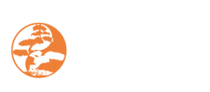 zdravljenje alergij